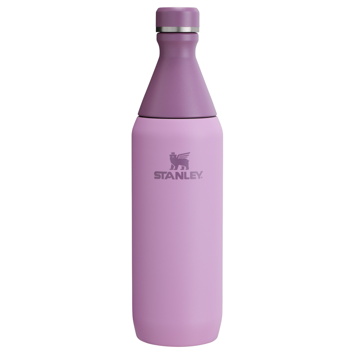 All Day Slim Bottle | 20 OZ - Stanley Create