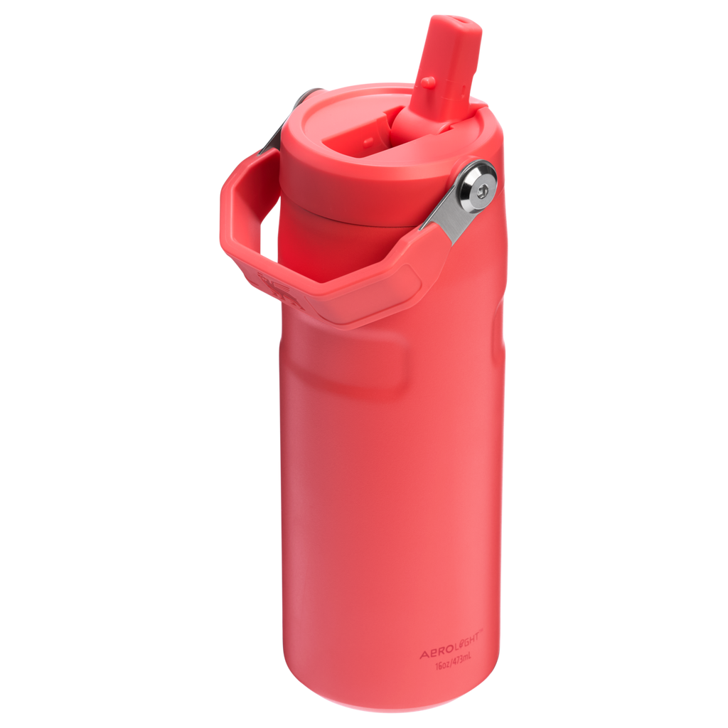 The IceFlow™ Bottle with Flip Straw Lid | 16 OZ